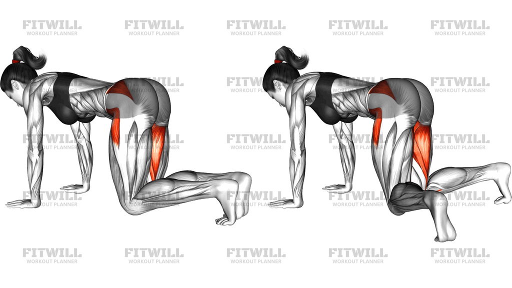 Quadruped Hip Rotation