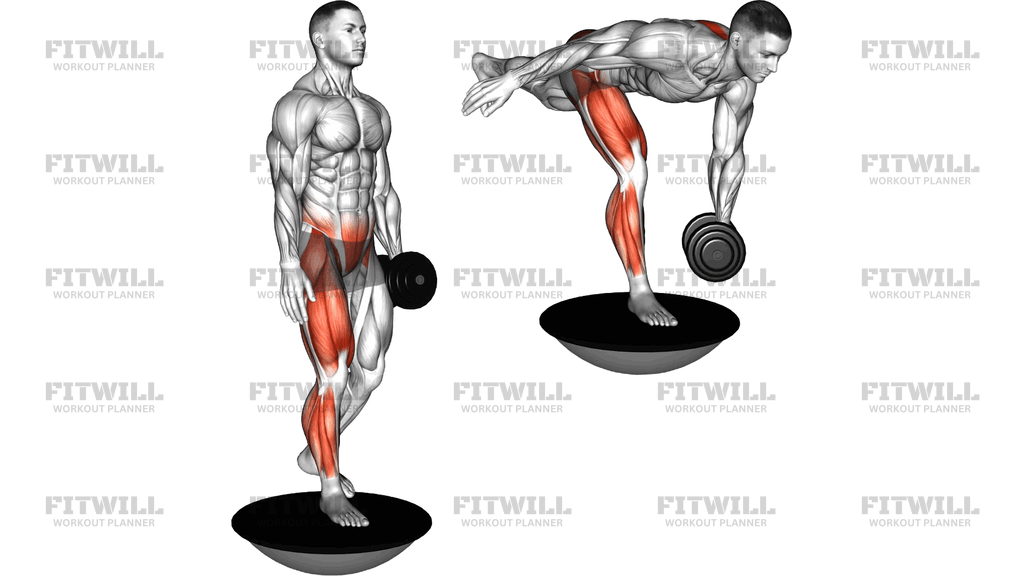 Dumbbell Bosu Ball Single Leg Deadlift