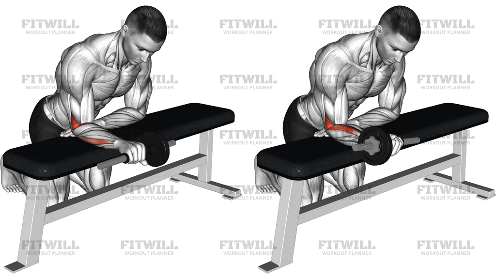 Dumbbell Wrist Supination