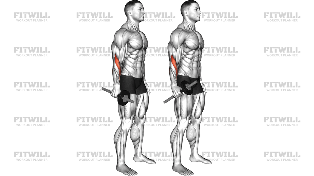 Dumbbell Standing Wrist Radial Flexion