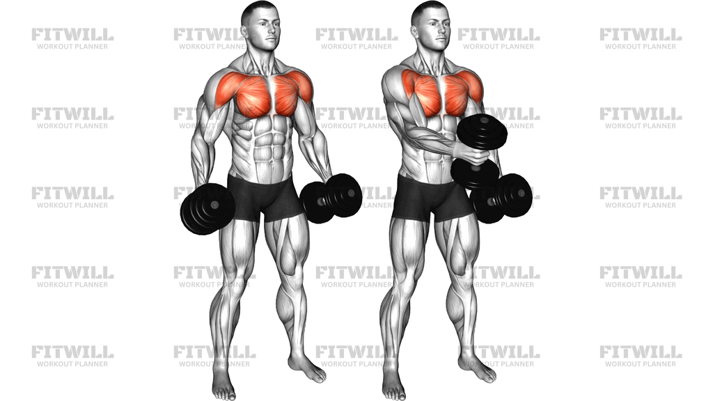 Dumbbell Standing Alternating Cross Raise
