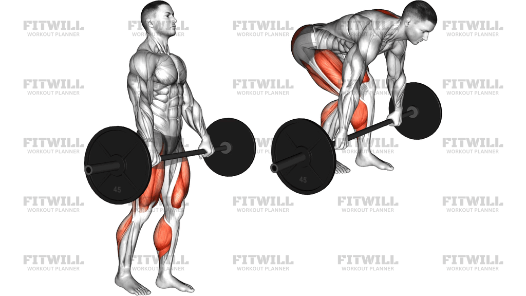 Barbell Split Stance Rdl