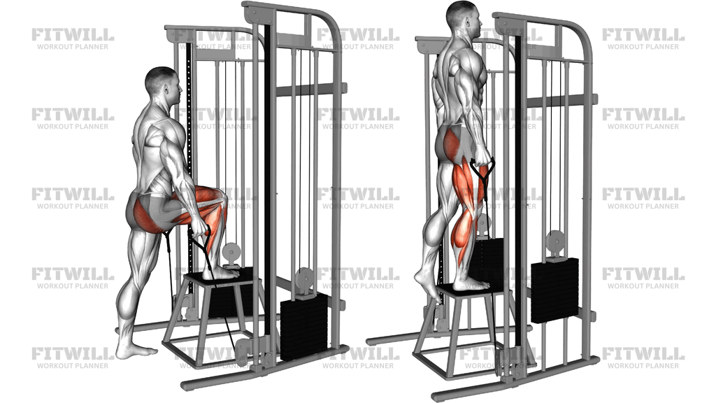 Cable Step Up