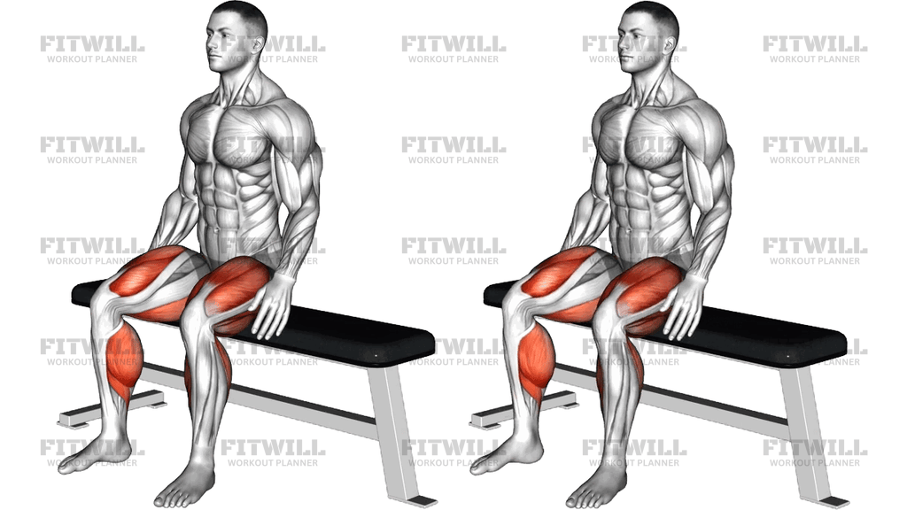 Jump From Seated Position