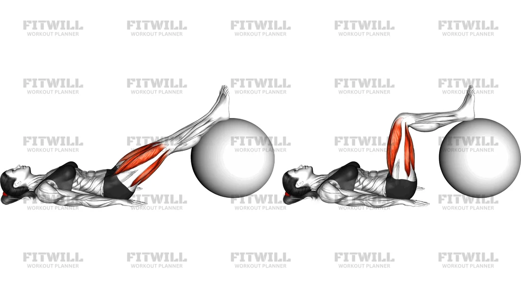 Lying Knee Flexion And Extension On Exercise Ball