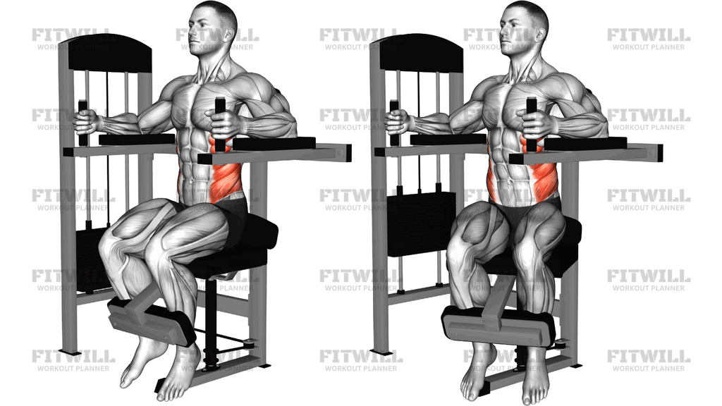 Lever Torso Rotation