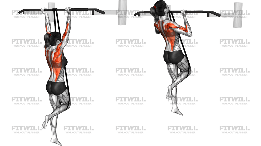 Band Assisted Chin Up (From Knee)