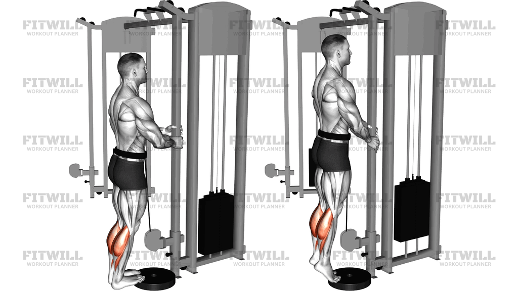 Cable Standing Calf Raise