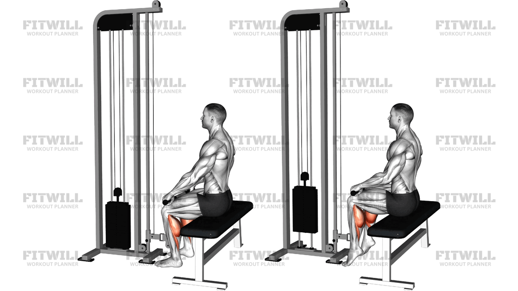 Cable Sitting Calf Raise