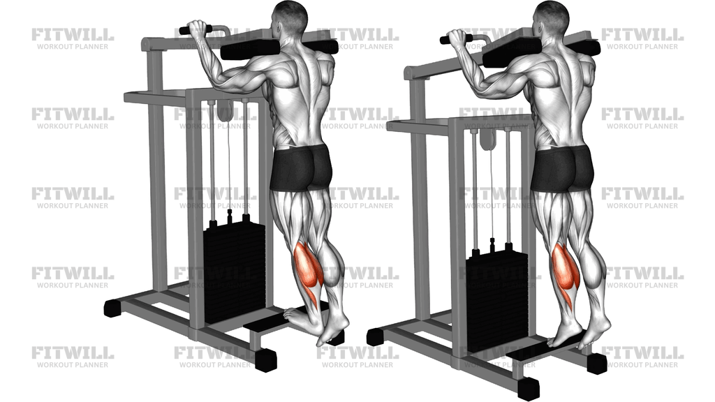 Lever Standing Single Leg Calf Raise