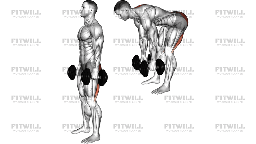 Dumbbell Good Morning (Version 2)