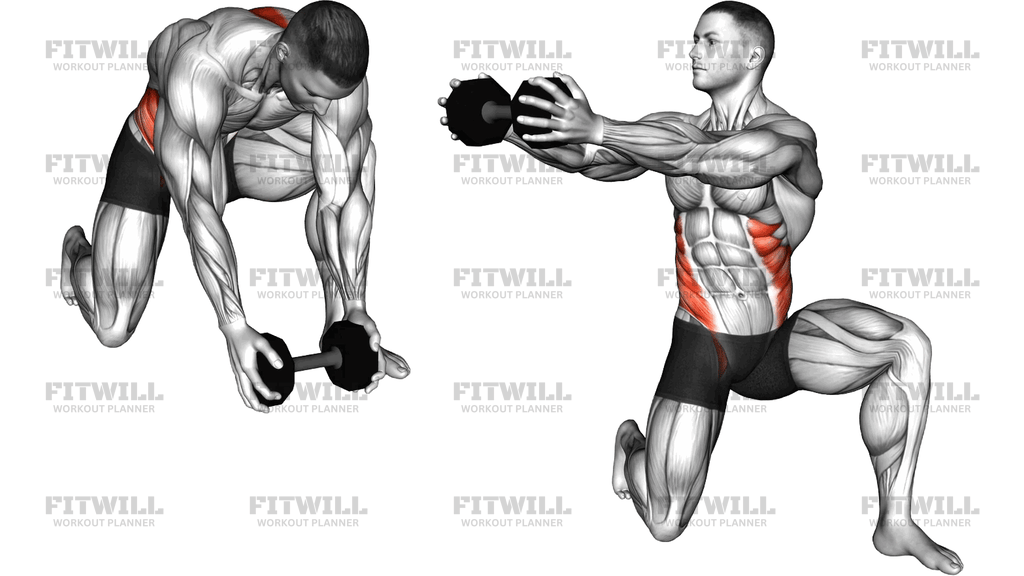 Dumbbell Half Kneeling Thor Lift