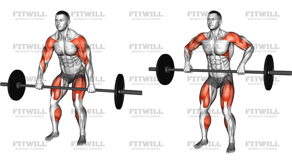 Barbell Hang Clean High Pull