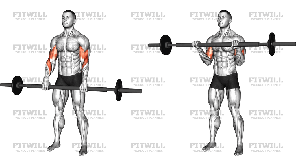 Barbell Fat Bar Reverse Curl