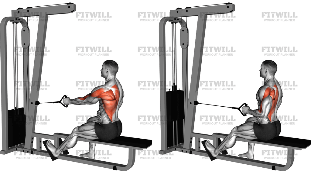 Cable Seated Single Arm Lats Focused Row