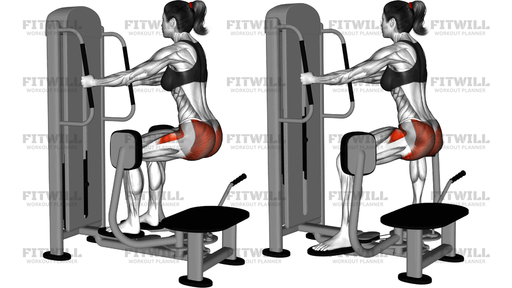 Lever Isometric Squat Hip Abduction