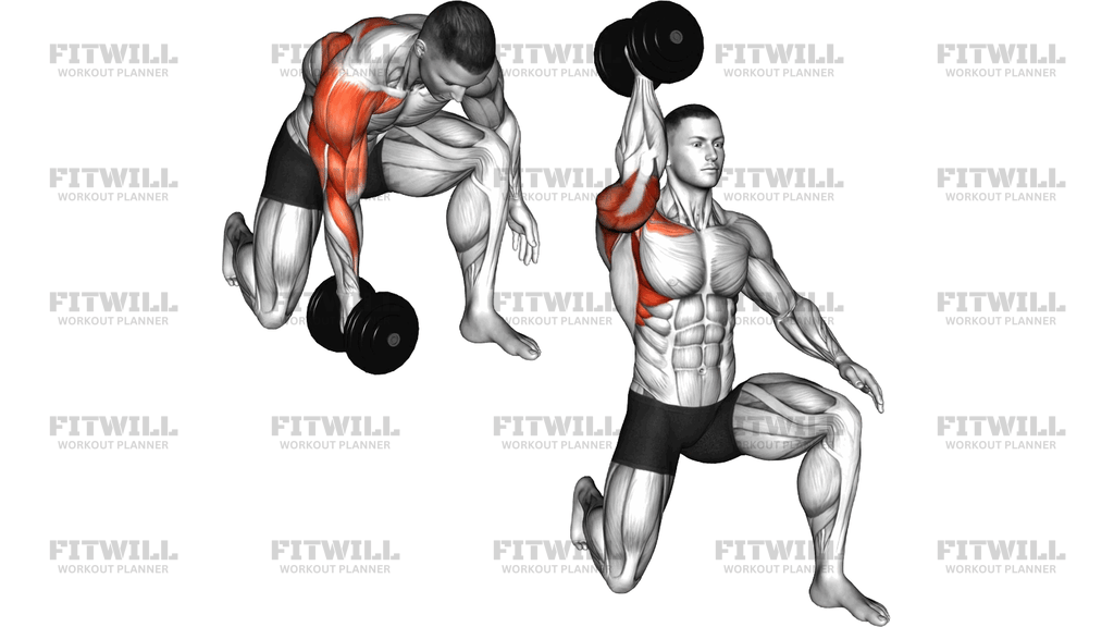 Dumbbell Half Kneeling Single Arm Clean Press