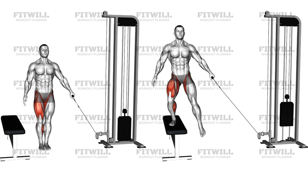 Cable Lateral Step Up