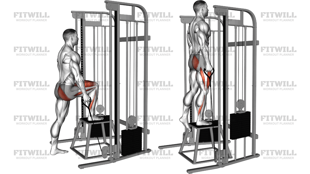 Cable Unilateral Step Up