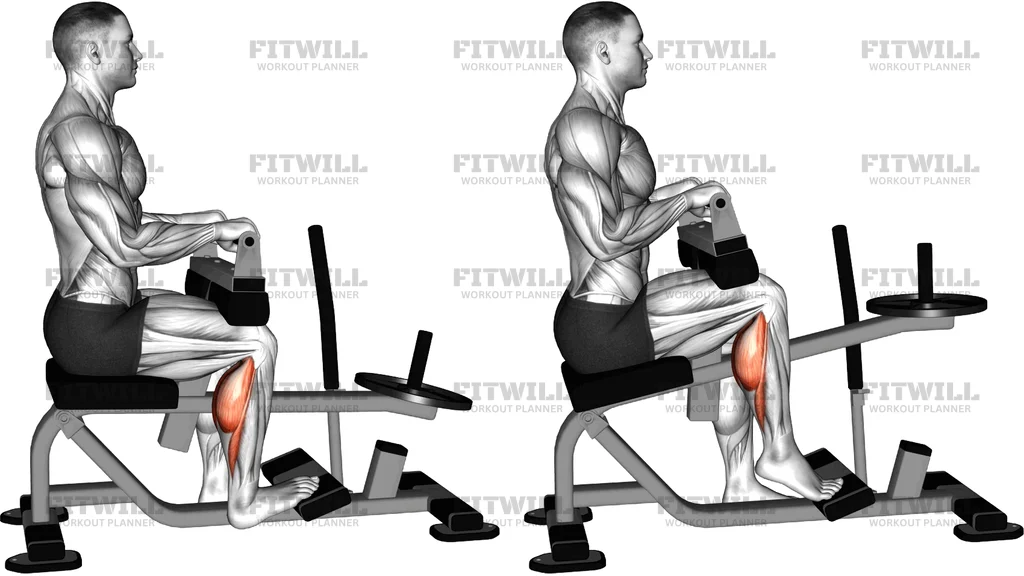 Calf Raise Seduto Monolaterale Alla Macchina A Leva (Carico A Dischi)