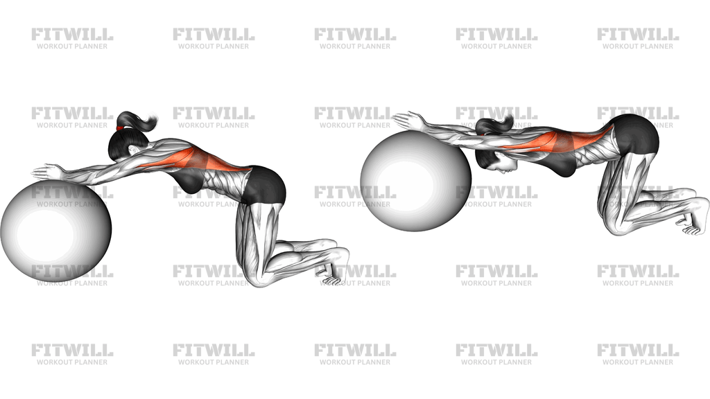 Exercise Ball Kneeling Prayer Lat Stretch