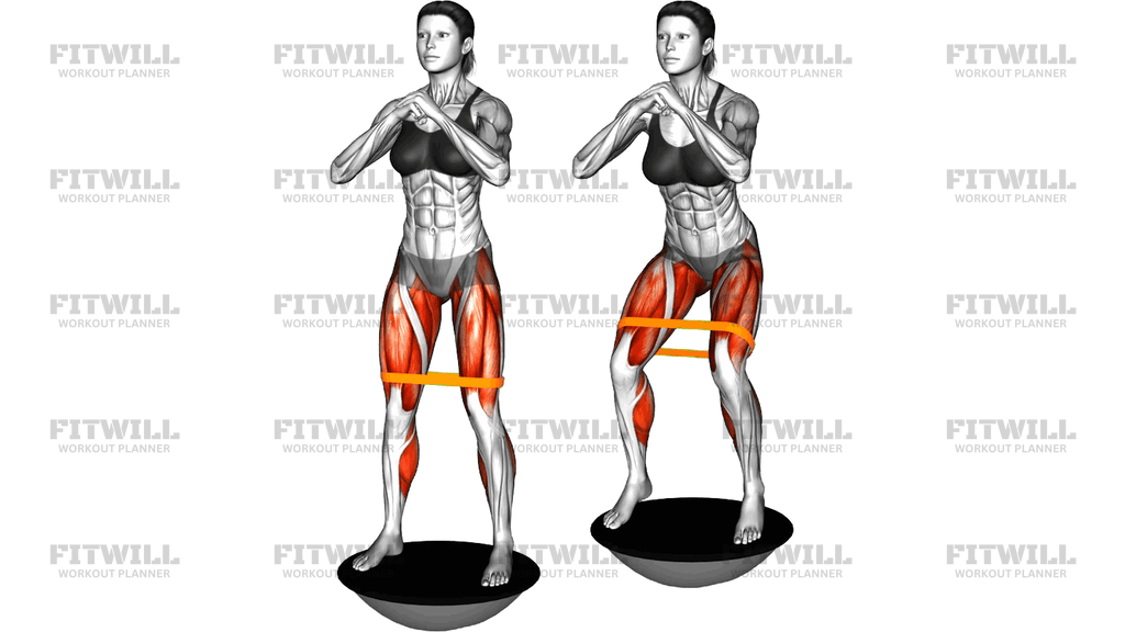 Resistance Band Normal To Wide Squat Jump On Bosu
