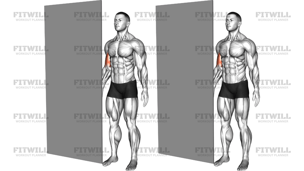 Standing Isometric Biceps Hold