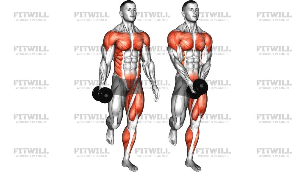 Dumbbell Front Hand To Hand Single Leg Balance