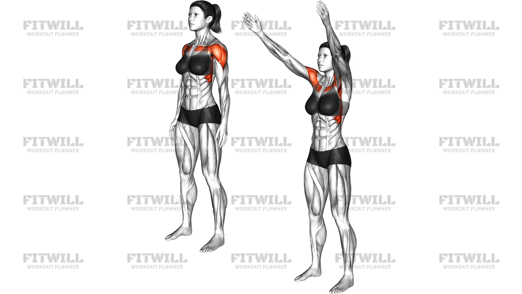 Standing Shoulder Flexion