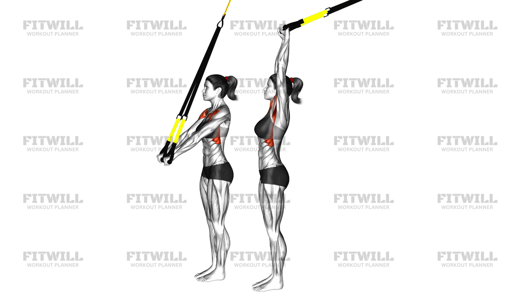 Suspender Assisted Shoulder Abduction Walk
