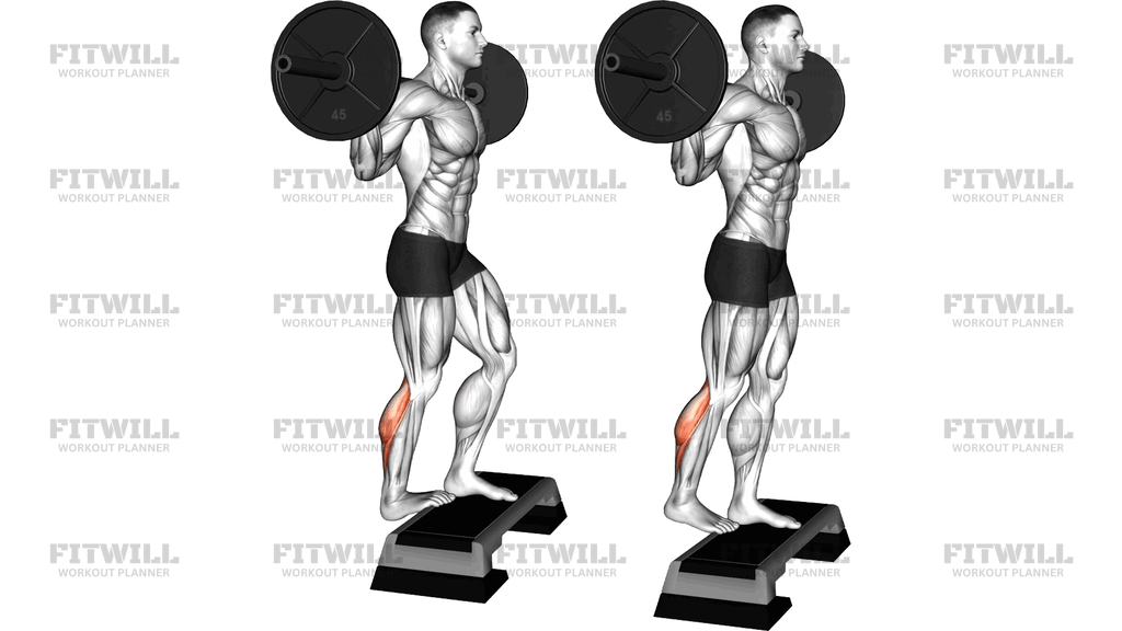 Barbell Standing Single Leg Calf Raise