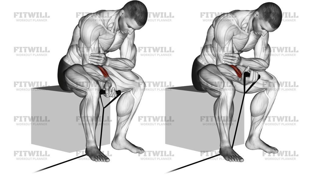 Band Wrist Curl