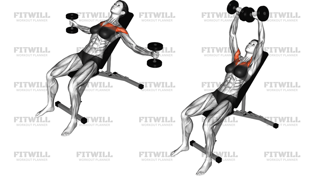 Dumbbell Incline Breeding