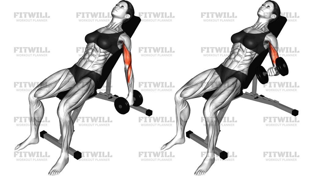 Dumbbell Incline Curl