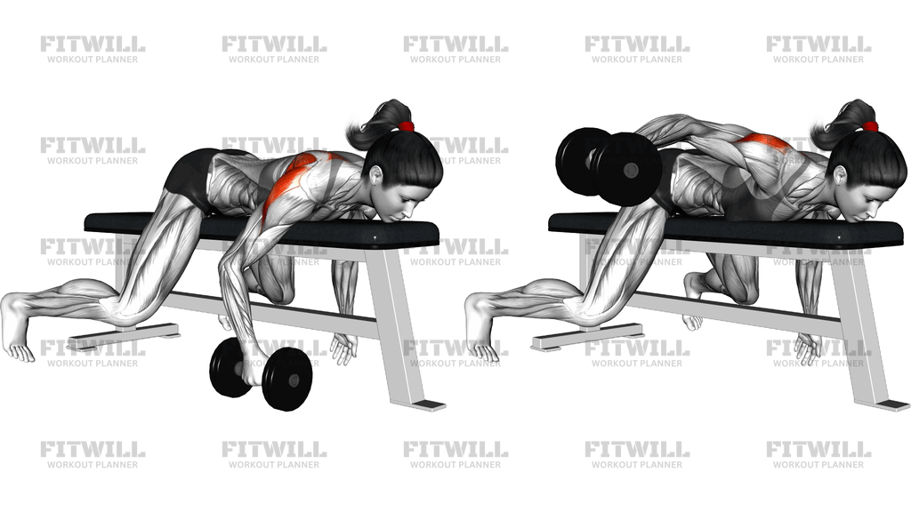 Dumbbell Lying One Arm Rear Lateral Raise