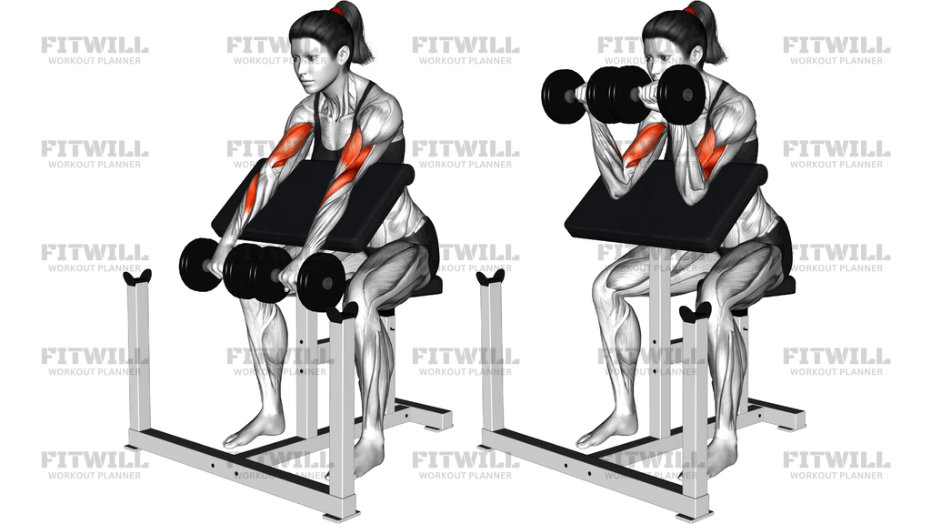 Dumbbell Reverse Preacher Curl