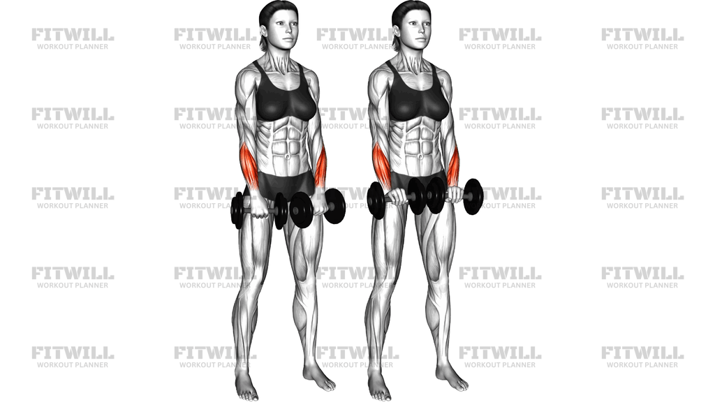 Dumbbell Standing Wrist Reverse Curl
