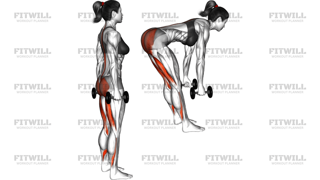 Dumbbell Straight Leg Deadlift