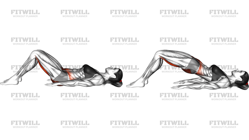 Hamstring Bridge (Version 2)