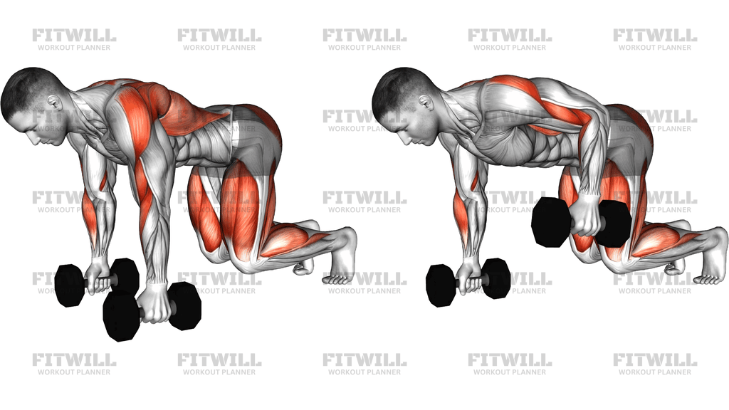 Dumbbell Bear Plank Alternating Row