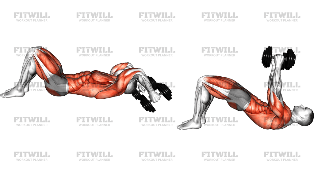 Dumbbell Pullover To Press Bridge