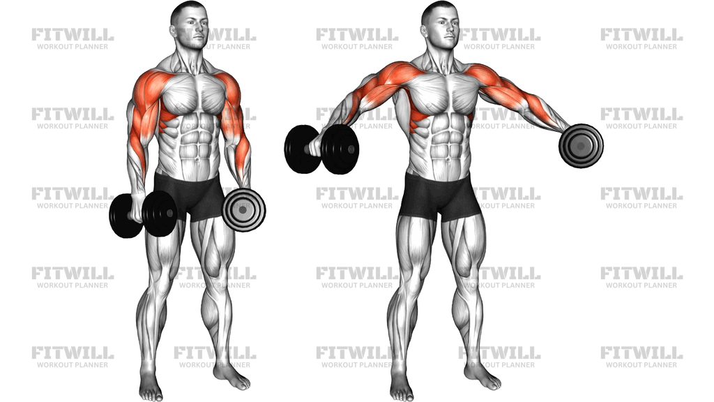 Dumbbell Shoulders Complex