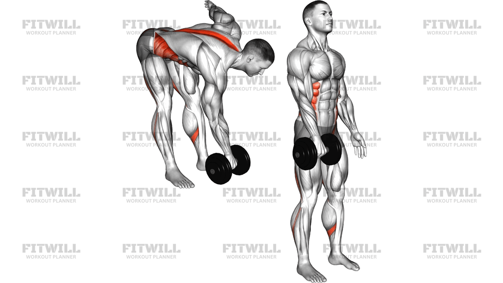 Dumbbell Cross Romanian Deadlift