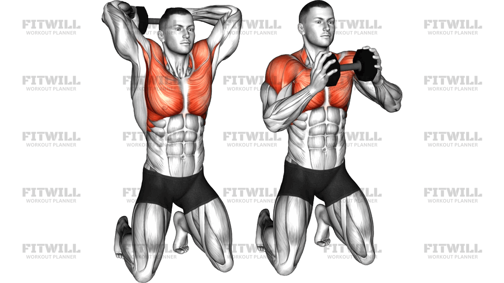 Dumbbell Kneeling Around Head Rotation