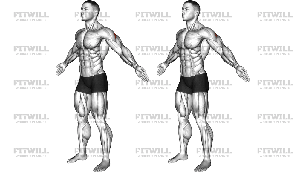Bodyweight Standing Rear Delt Fly Pulse