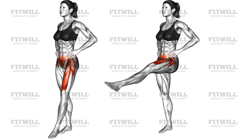 Standing Single Leg Front Raise