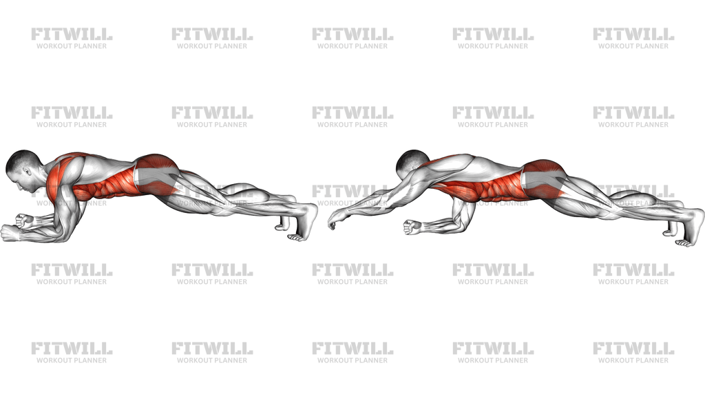 Plank Arm Reach
