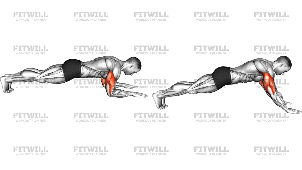 Bodyweight Triceps Extension Hold From Plank Posi