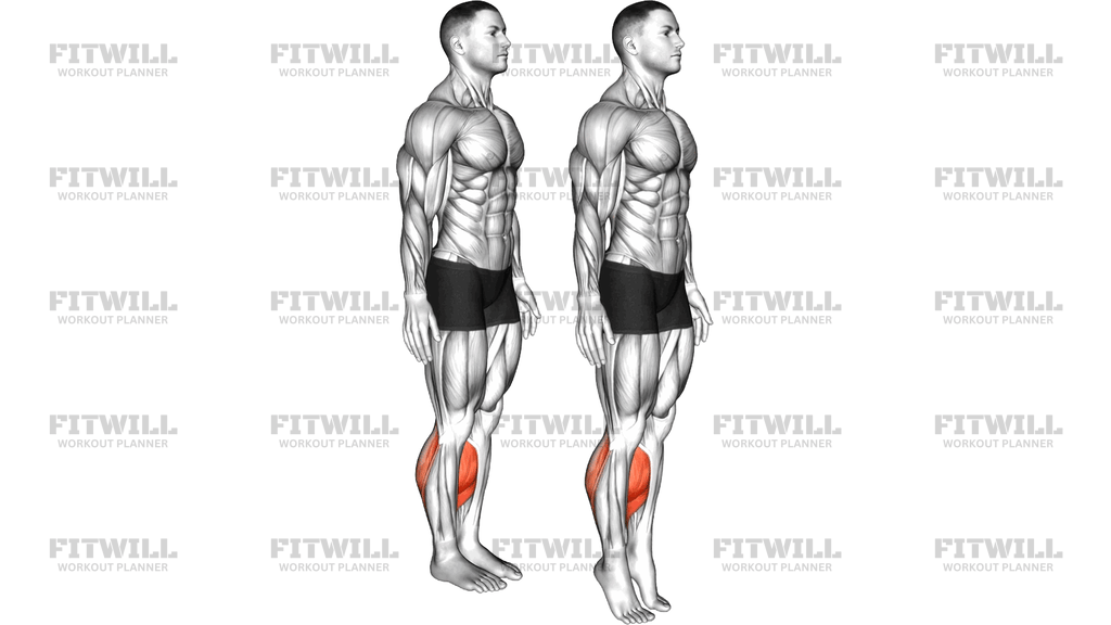Bodyweight Explosive Calf Raise