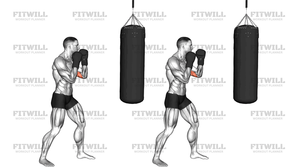 Boxing Jab (With Bag And Gloves)